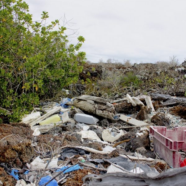 Plastics © JP Munoz and Galapagos Conservation Trust